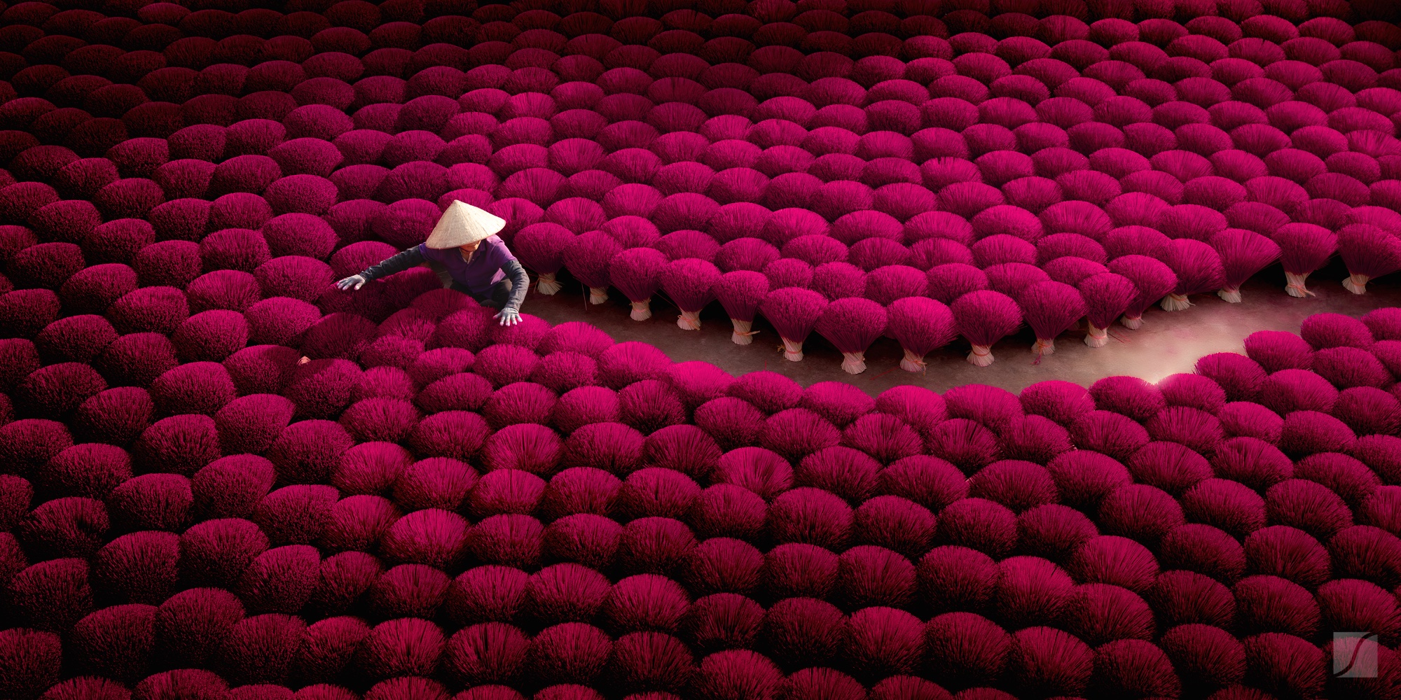 Incense maker arranges crimson joss sticks, Hanoi Vietnam
